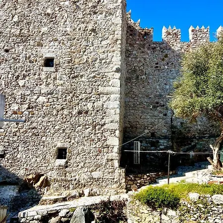 Mustafa Tokalaç Castle House *