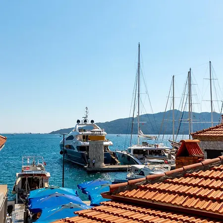 ゲストハウス Mustafa Tokalac Castle House 4*