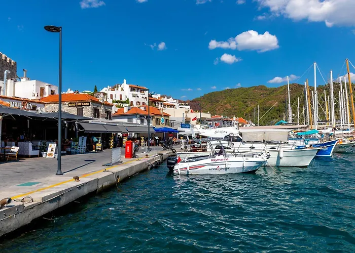 Mustafa Tokalac Castle House 4*