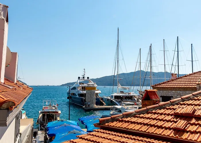 Πανσιόν Mustafa Tokalac Castle House 4*