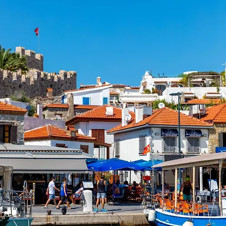 Casa de hóspedes Mustafa Tokalaç Castle House